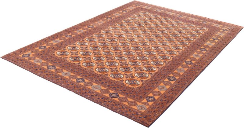 Turkmen Persian Rug 202 × 305 cm, Wool, hand-knotted — view 5