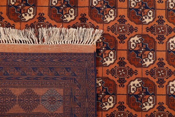 Turkmen Persian Rug 202 × 305 cm, Wool, hand-knotted — view 7